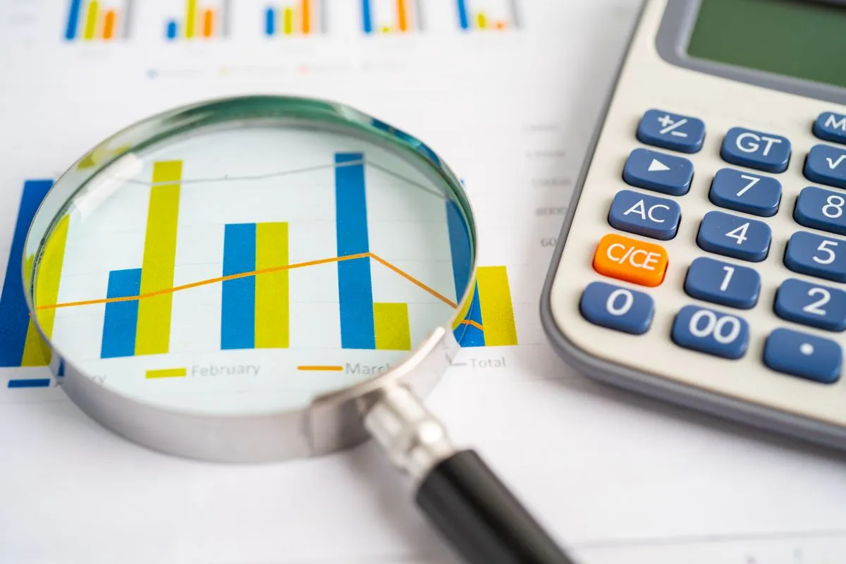 Accounting Services in Türkiye